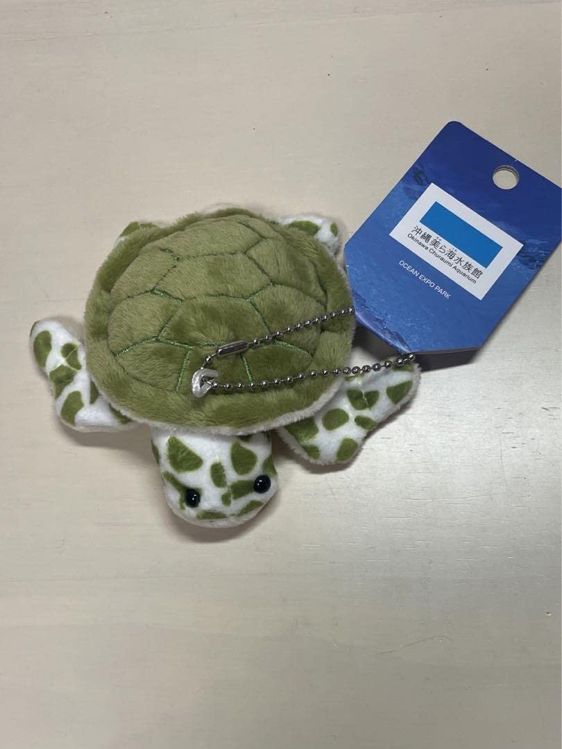 Amazon.co.jp: 美ら海水族館 カメ ぬい ぐるみ キーホルダー グッズ